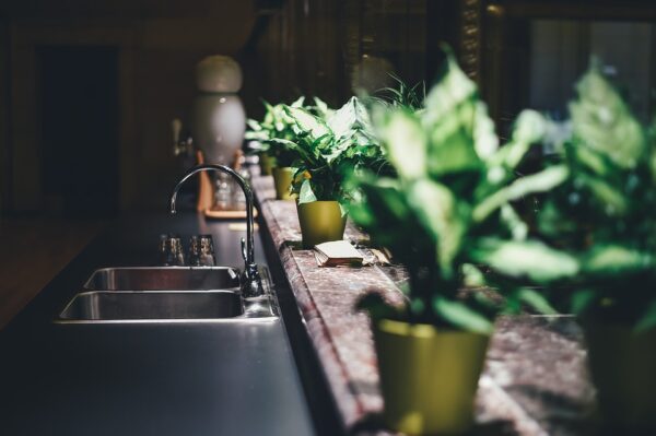 Décorer avec des plantes d’intérieur sa maison : c’est dans l’air du temps !